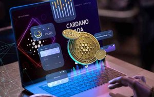 как заняться криптовалютой